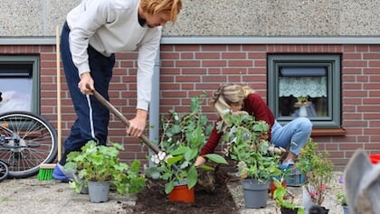 Tegels eruit, groen erin: actie voor groene tuinen