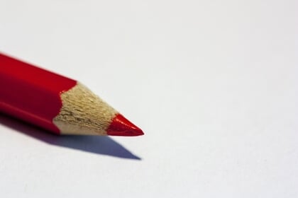 Uitslag gemeenteraadsverkiezingen: zo stemde West Betuwe