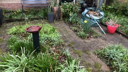 Duurzaamheidscolumn over lente schoonmaak in de tuin; tips over hoe dat aan te pakken