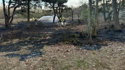 Politie: ‘Te weinig aanknopingspunten voor onderzoek naar aangestoken brand in Schaffelaarsebos’