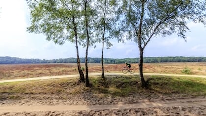 Toerisme en recreatie in akkoorden van coalitie gemeenten Harderwijk, Ermelo en Putten