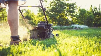 Gemeente Putten kiest voor biodivers groen met 500 plantensoorten