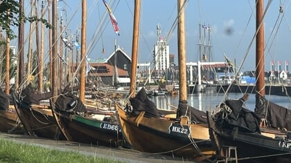 HK21 moet bijdragen aan groene imago van Harderwijk; subsidie van gemeente noodzakelijk