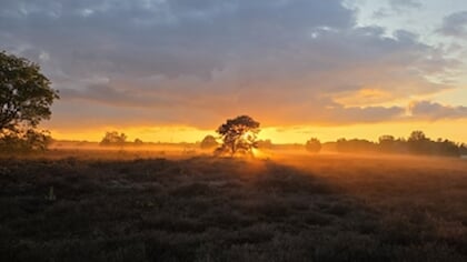 Lezersfoto: een rondje Groevenbeekse heide tijdens zonsondergang