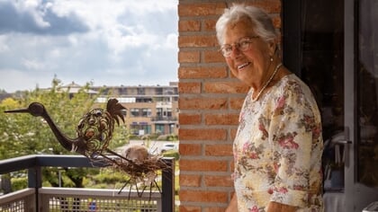 Mevrouw Vogel (87) dolgelukkig met duif op balkon: ‘Extreem leuk om mee te maken’