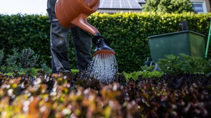 Geen subsidie voor vergroenen Puttense tuin