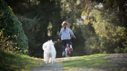 Belangenorganisatie wil meer aandacht voor recreatie in Ermelo