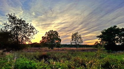 Lezersfoto: prachtige zonsondergang vanaf de Groevenbeekse hei
