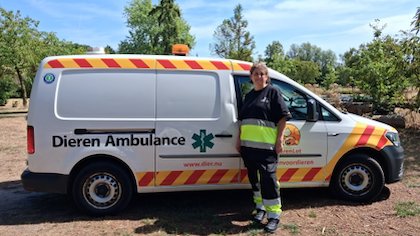 De week van dierenambulancevrijwilliger Jolanda (55): ‘Het blijft mooi en dankbaar werk’