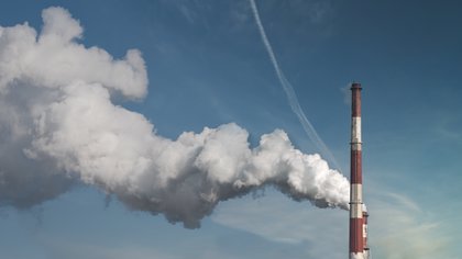 Stikstofaanpak provincie Gelderland moet natuur én vergunningen beschermen