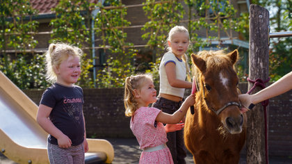 In beeld: grote beestenboel op schoolplein van Steenenkamer