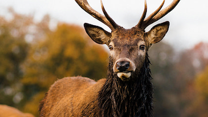 Eerste Veluwe Fair biedt volop activiteiten, Veluwe Rockt geschrapt
