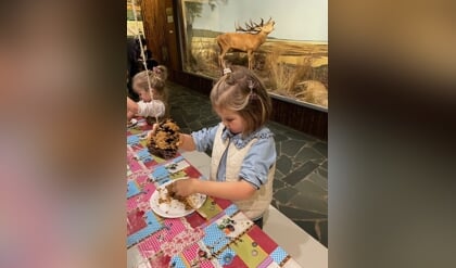 Vogelvoer knutselen bij Natuurmuseum Holterberg