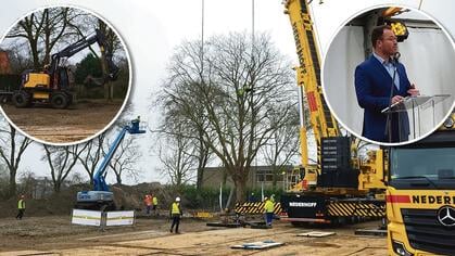 Grote plataan van 96 ton aan de Molenvlietsedijk verhuist: ‘Een bijzonder moment’