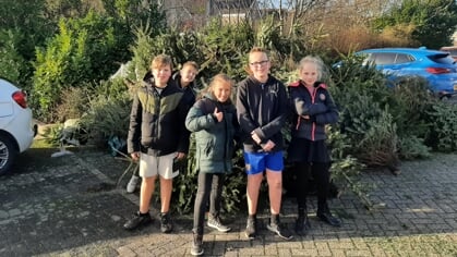 Kerstbomen goed voor zakcentje