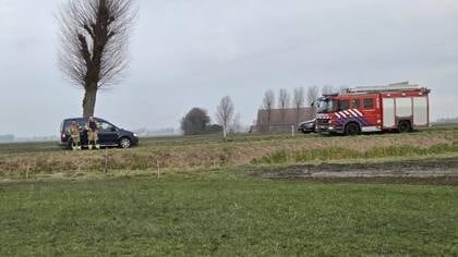 Hulp komt te laat voor schaap op z’n rug: Zo kun je het dier in nood zelf helpen