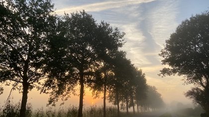 Roosendaalse lezersfoto van de week is gemaakt door Marian Verbocht