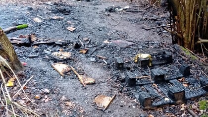 Bijenkasten in brand gestoken; steunactie voor getroffen imker
