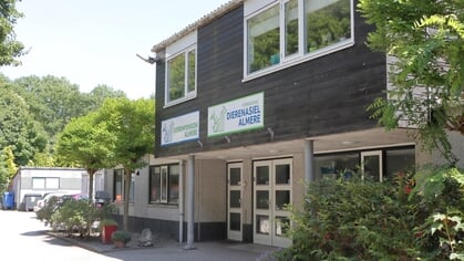 Hoelang duurt de tijdelijke opvang van zwerfdieren? Gemeenteraad eist duidelijkheid