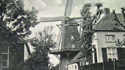 Molen De Hoop niet langer kap-loos
