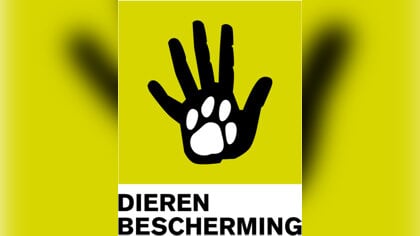 Dierenbescherming neemt dierenopvang over en bouwt nieuw asiel