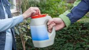 Dierenbescherming zoekt collectanten in Schaijk en Reek